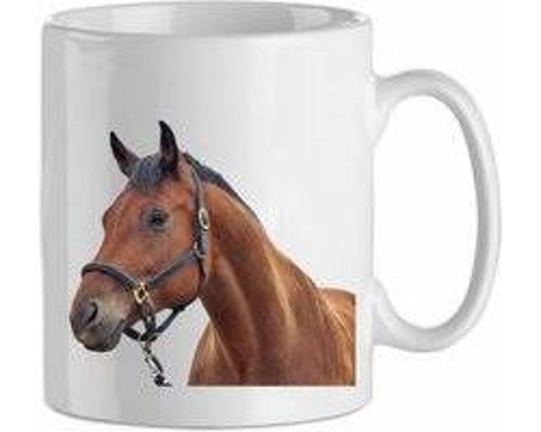 Bruin paard
