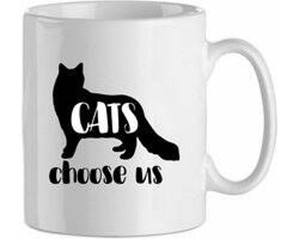 Cats choose us