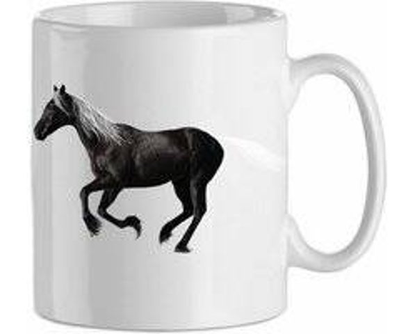 Zwart paard