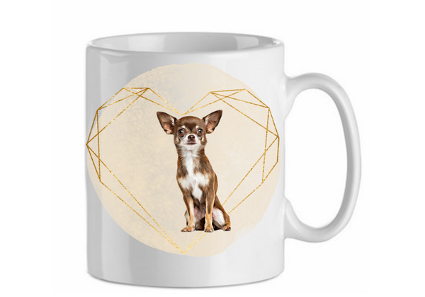 Chihuahua 4.3