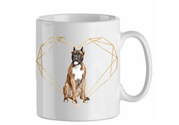 Boxer 4.3