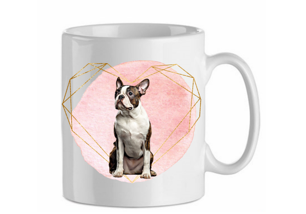 Boston terrier 2.3