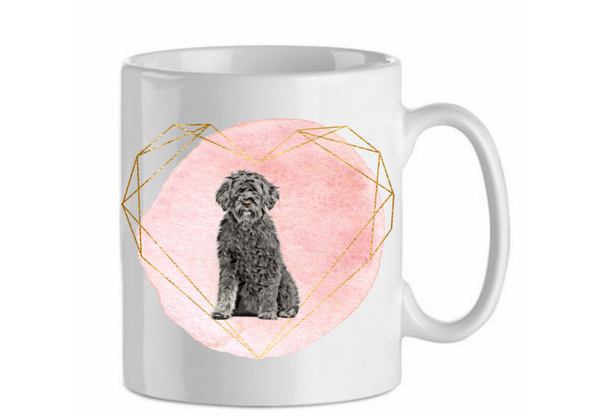 Portugese waterhond 2.3
