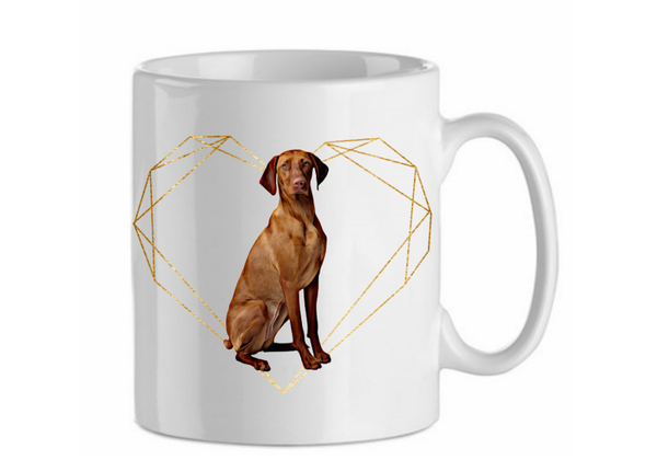 Germain shorthaired pointer 4.3