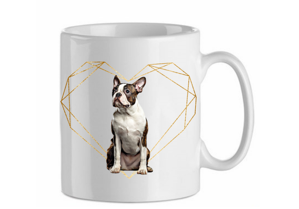 Boston terrier 4.3