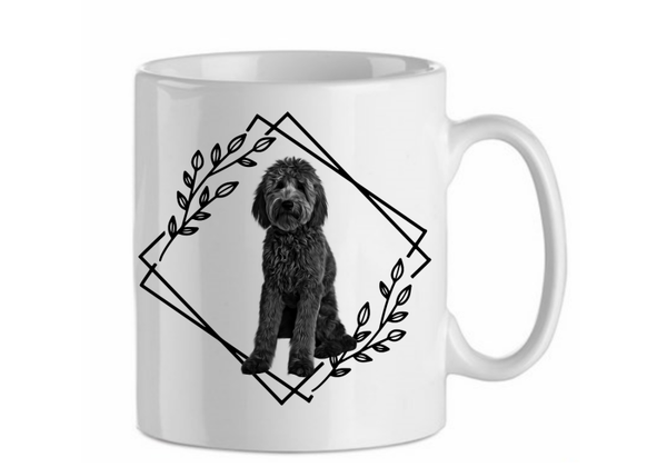 Goldendoodle 4.3