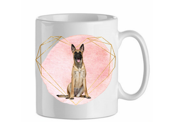 Belgian malinois - Mechelse herder 2.4