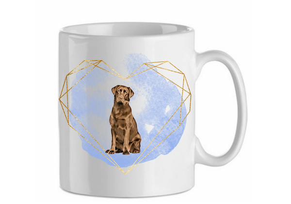 Labrador 3.3