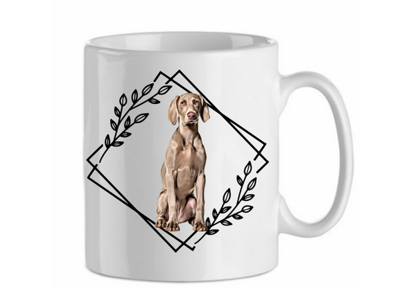 Weimaraner 6.4
