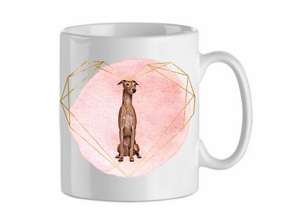 Italian greyhound 2.4