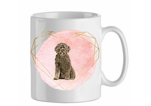 Portugese waterhond 2.4