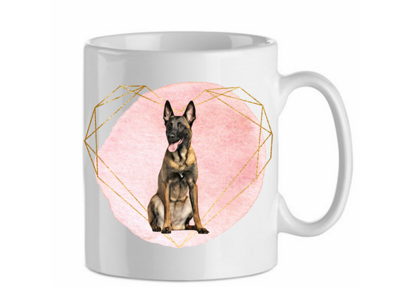 Belgian malinois - Mechelse herder 2.7