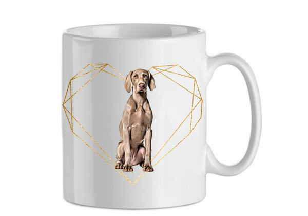 Weimaraner 5.4