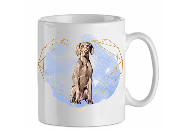 Weimaraner 3.4