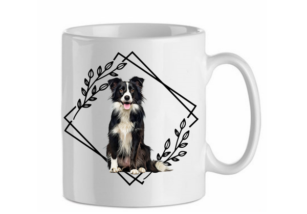 Border collie 6.5