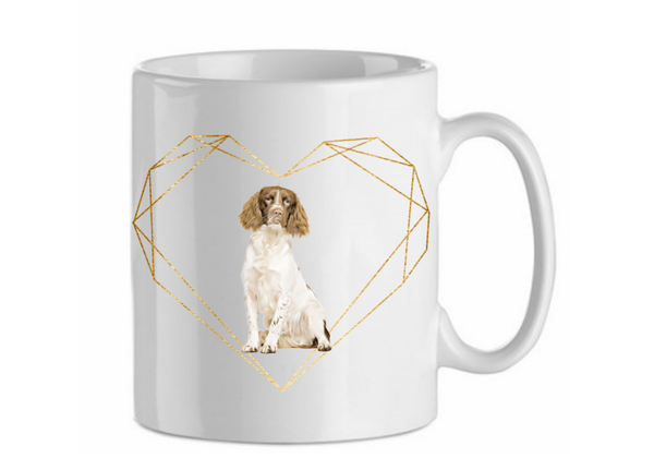 Engelse springer spaniel 4.2