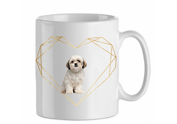 Shih tzu 5.4