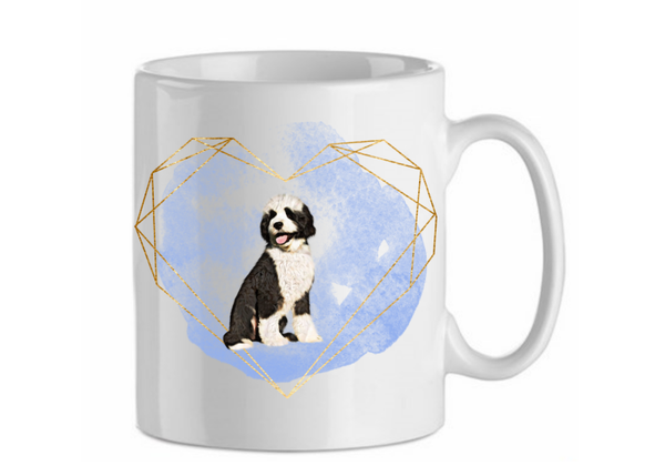 Portugese waterhond 3.6