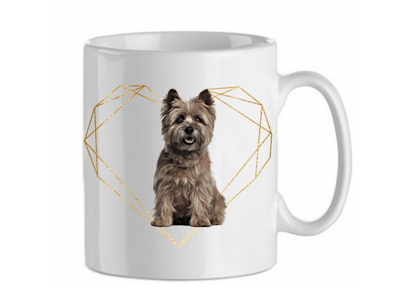 Cairn terrier 4.6