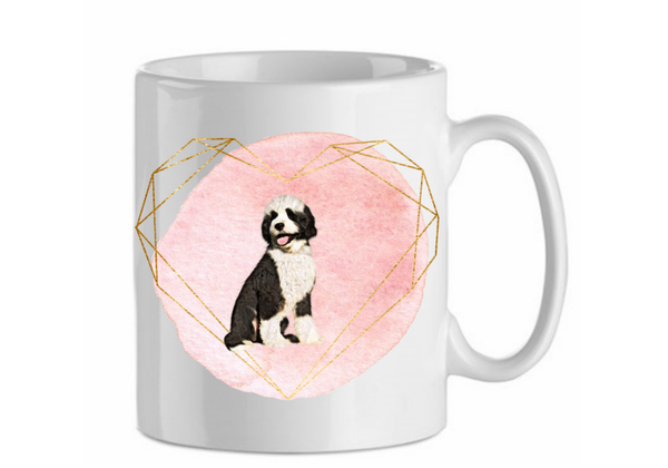 Portugese waterhond 2.6