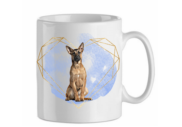 Belgian malinois - Mechelse herder 3.1