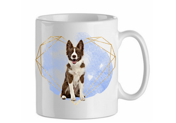 Border collie 3.7