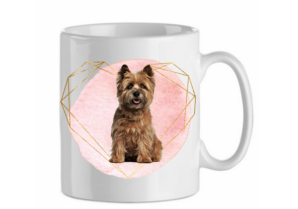Cairn terrier 2.8