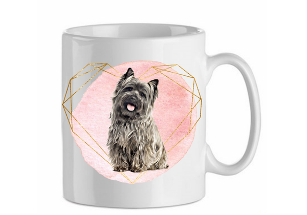 Cairn terrier 2.9