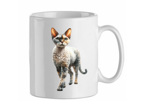 Devon rex 6