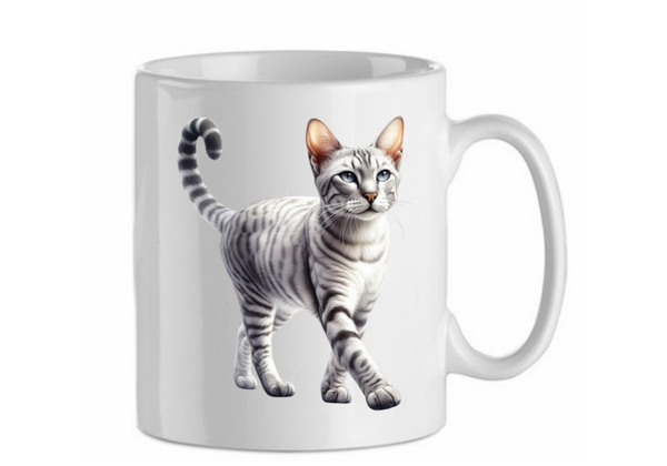 Egyptian mau 7