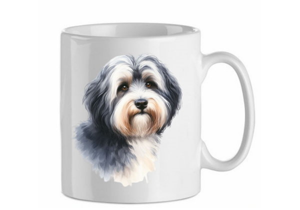 Havanese 7.1