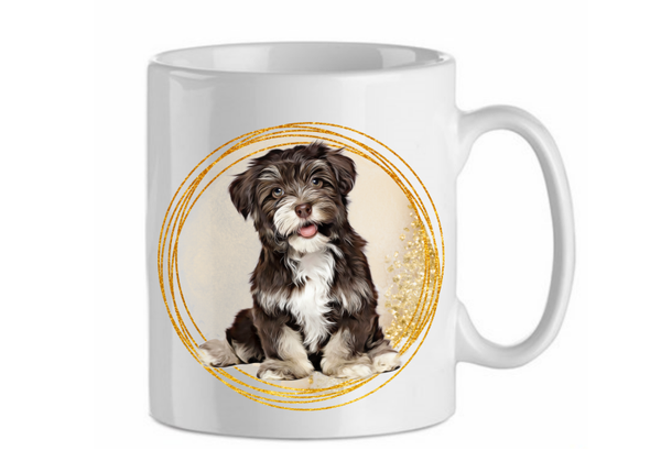 Havanese 1.2