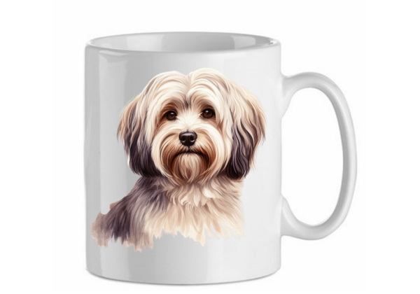 Havanese 7.6