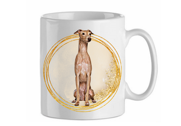 Italian greyhound 1.1