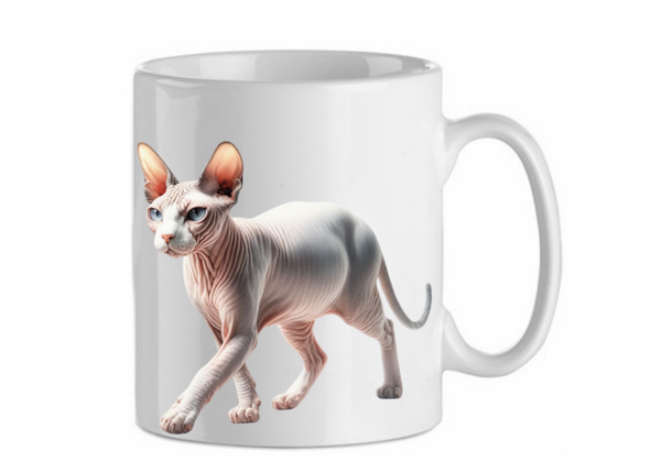 Sphynx 6