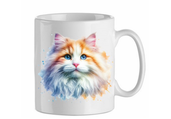 Turkish angora 6