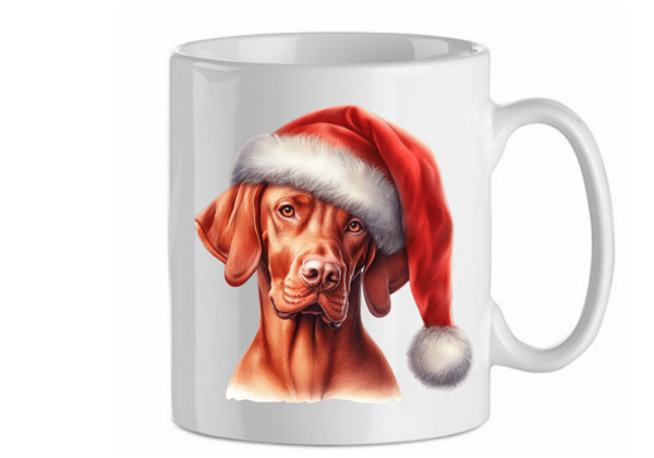 Viszla kerst 1