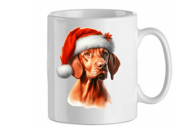 Viszla kerst 3