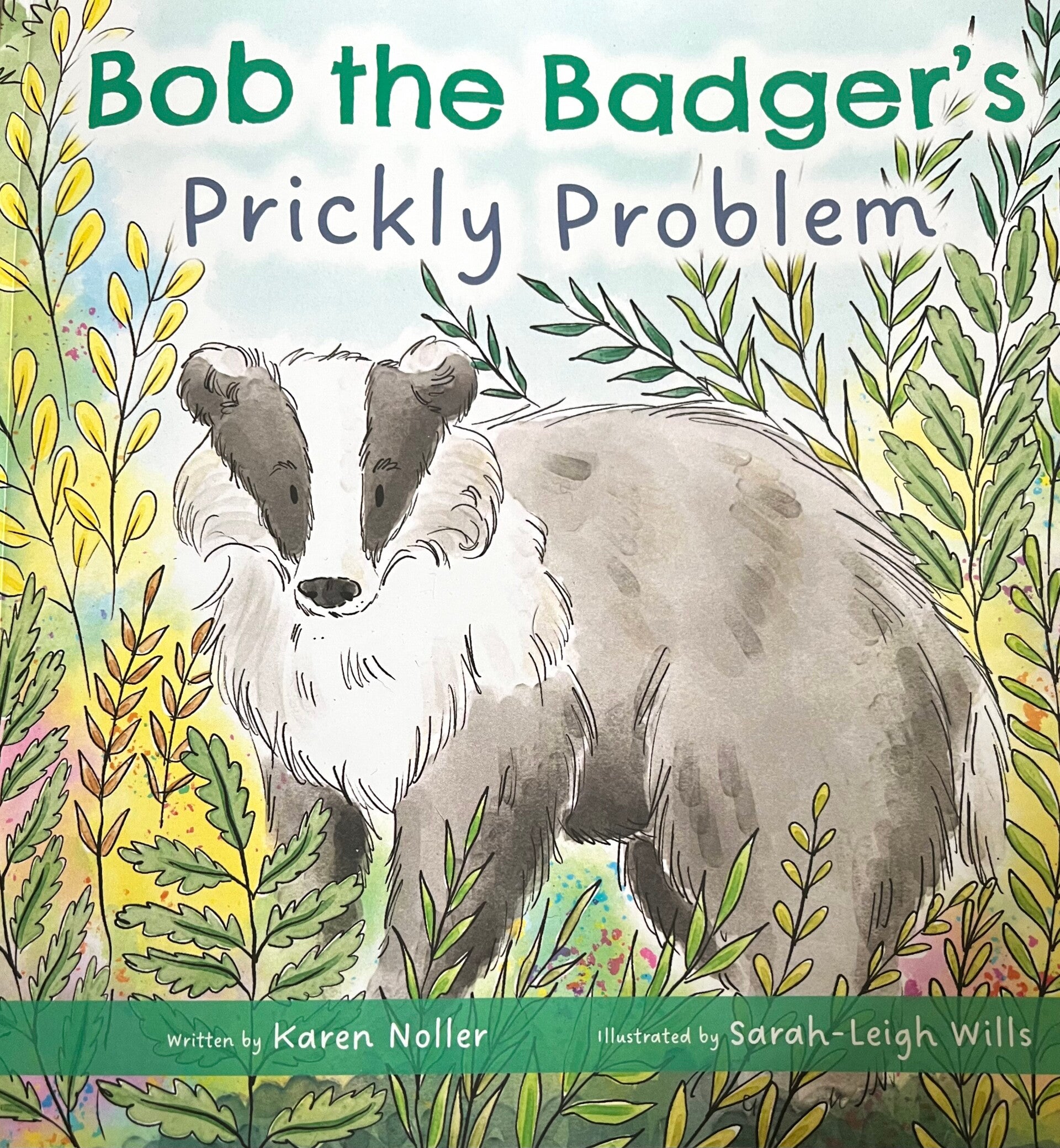 Bob the Badger's Prickly Problem (local to CO11 in UK free delivery)