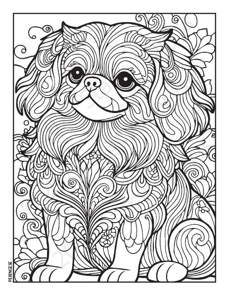 17_dogs_pekingese-standard.jpg
