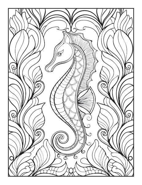 seahorse03-standard.jpg