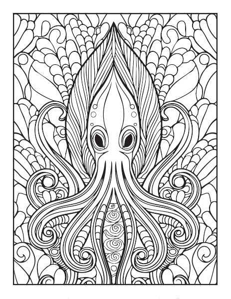 squid01-standard.jpg