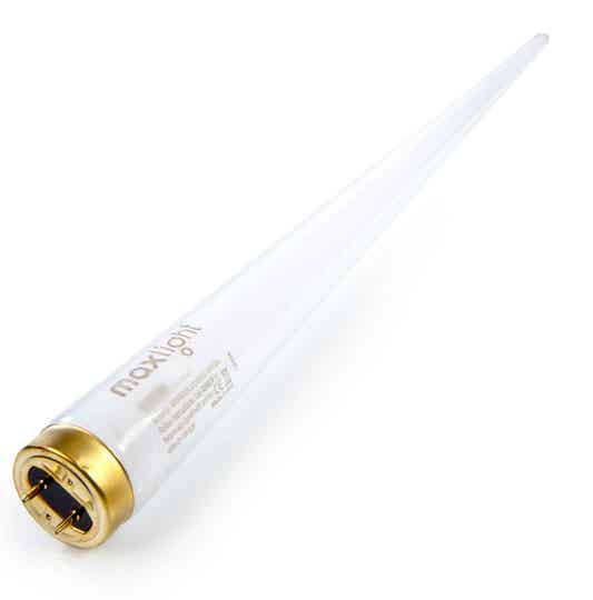 Maxlight 100W CE III Bruiningslamp zonnebank