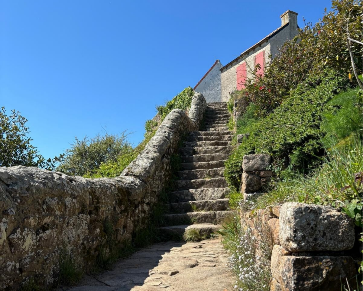 Scala in pietra che conduce verso l'alto, simbolo del passaggio dalla sopravvivenza alla vita e della scelta di tornare al proprio centro.