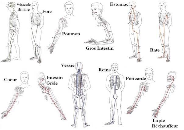 points d'acupuncture et méridiens