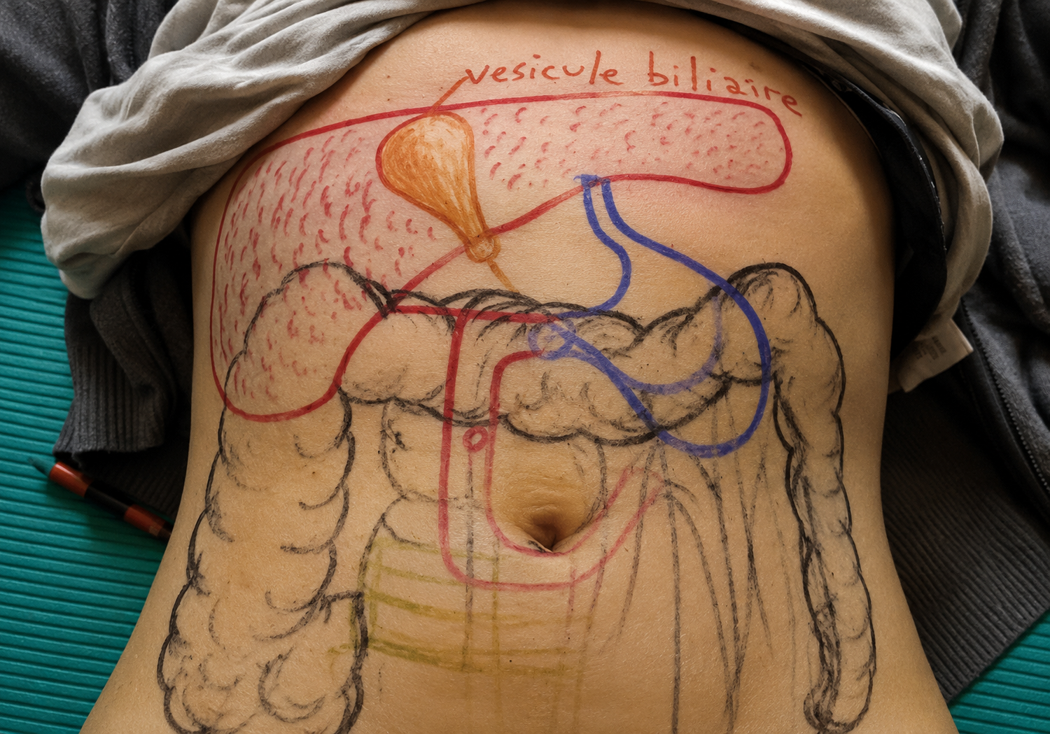 Repérage des organes sur l’abdomen lors d’une formation en Chi Nei Tsang