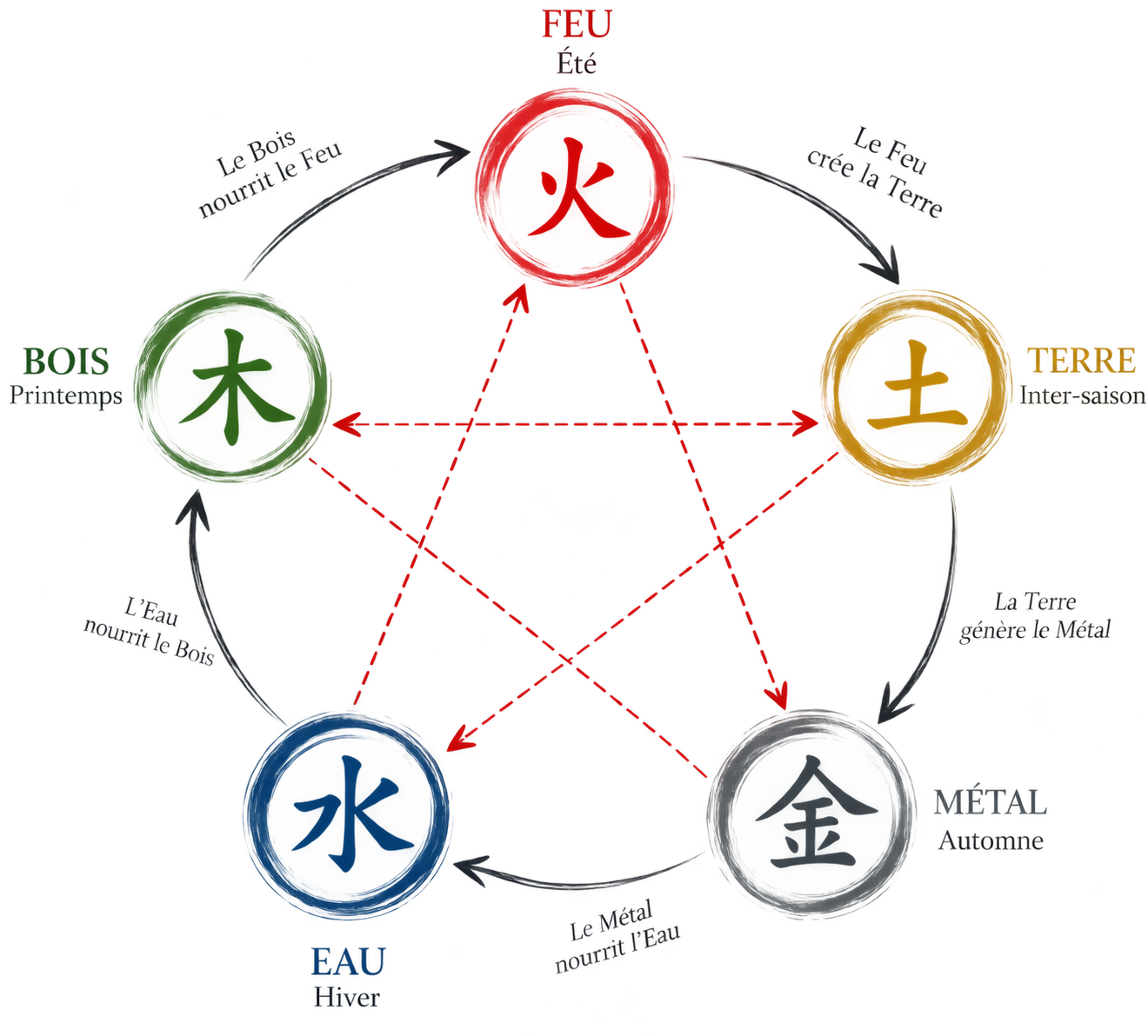 Cinq Mouvements Wu Xing 五行 – Bois, Feu, Terre, Métal et Eau