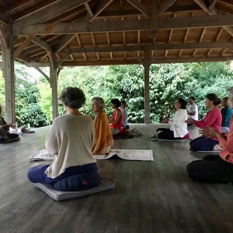Mouvements Dao Yin QI Gong