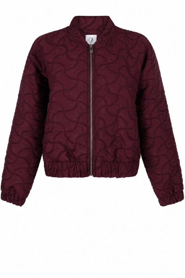 264 Silvie