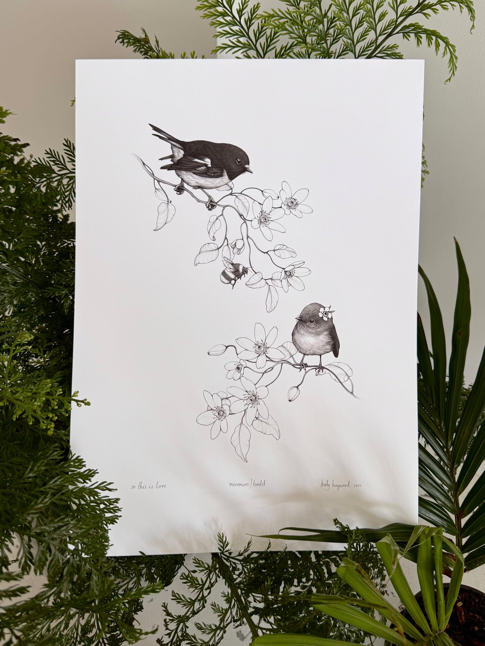 ‘So this is love’, Miromiro / Tomtit, Limited edition print.